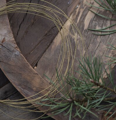 Bild av harmonisk komposition med natur och metall