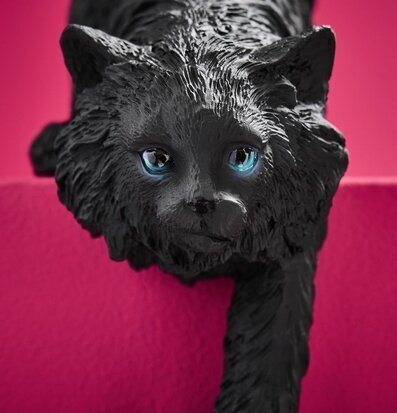 Bild av svart kattlampa med blå ögon och rosa bakgrund