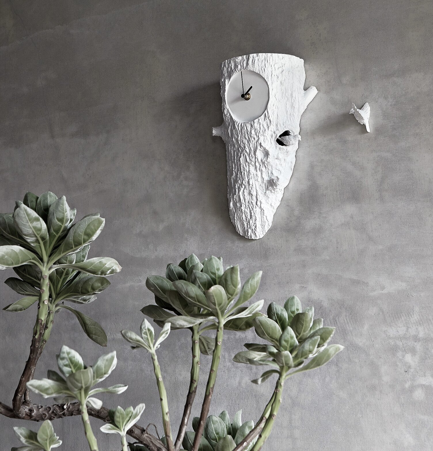 Väggklocka Cuckoo - Haoshi Design mot grå betongvägg