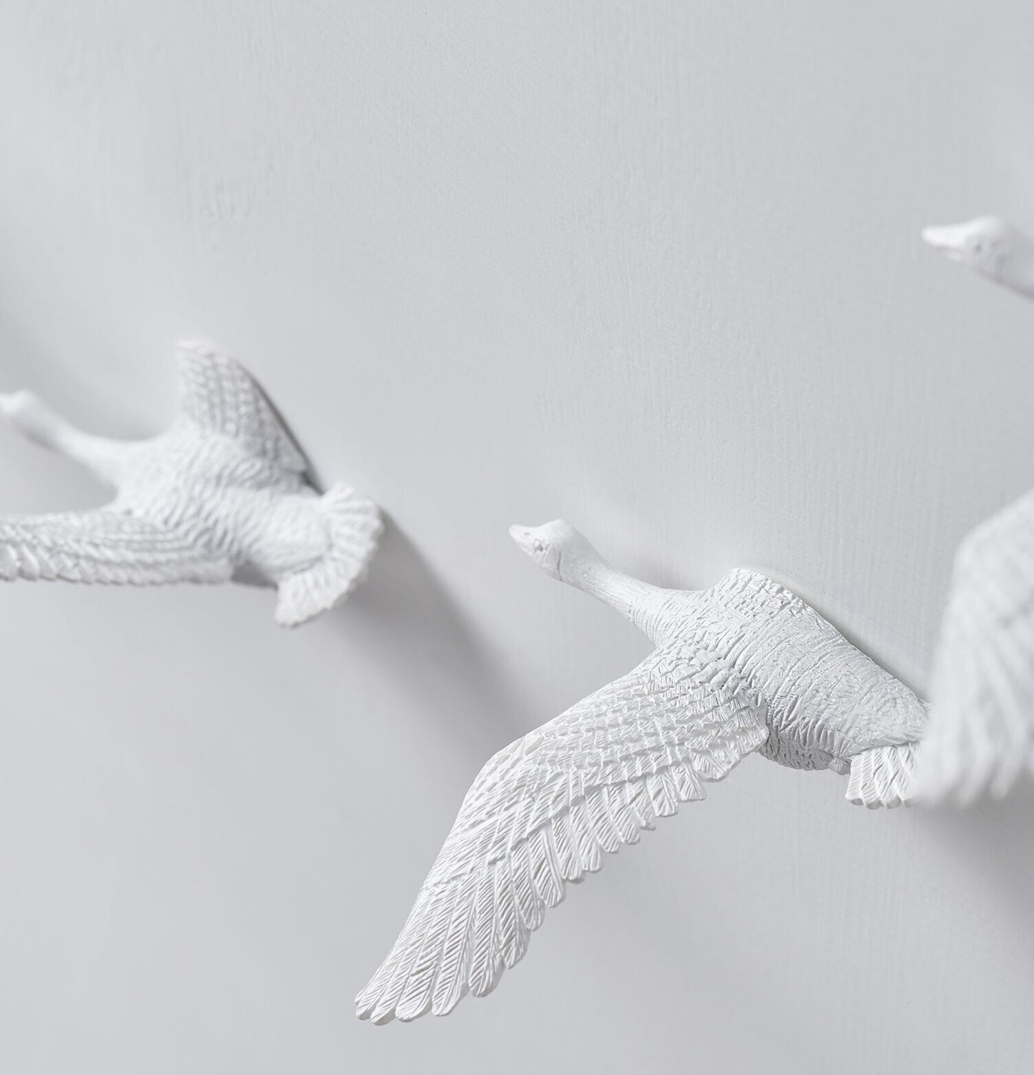 Bild av elegant vägginstallation med fågelmotiv