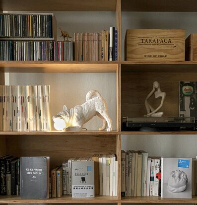 Bild av stilren bokhylla med unik designlampa