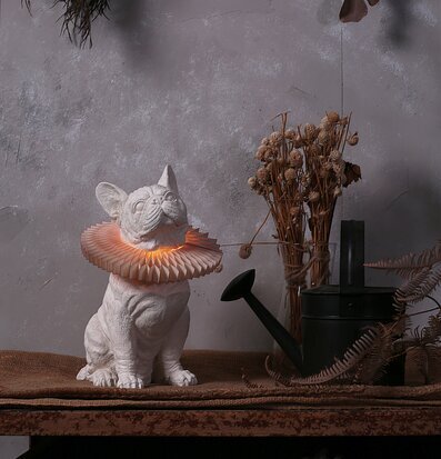 Bild av unik bordslampa med elegant design