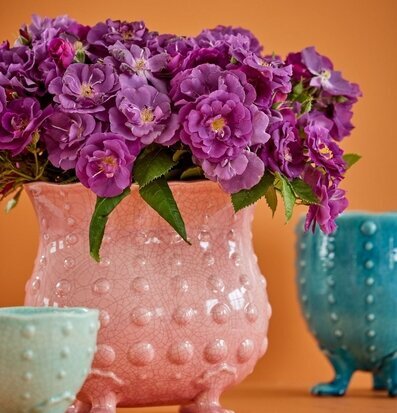 Bild av charmanta keramikvaser med unik design