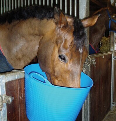 Bild av stallmiljö med häst och färgglad förvaringshink