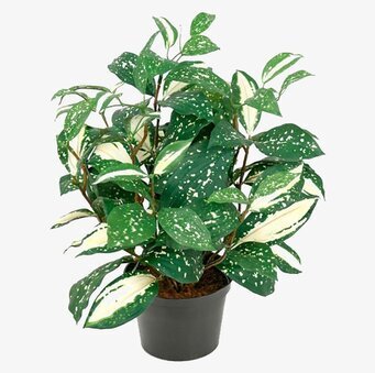Bild av konstväxt med realistiska Cordyline-blad