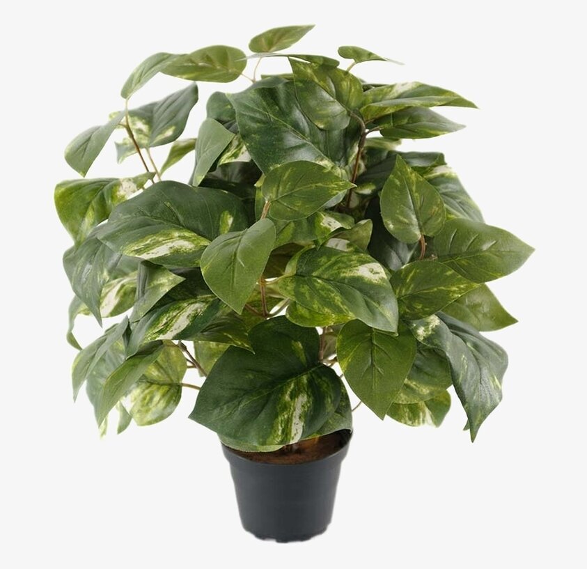 Gullranka Konstväxt från Mr Plant i svart plastkruka