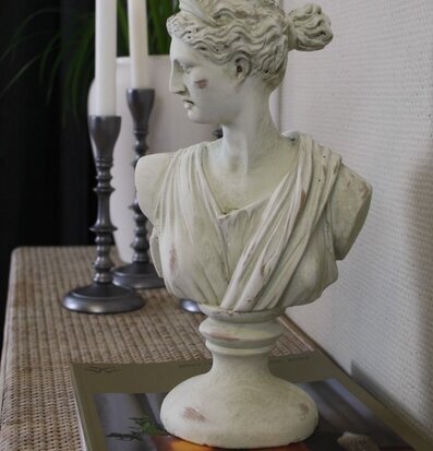 Bild av elegant statybyst i klassisk och modern stil