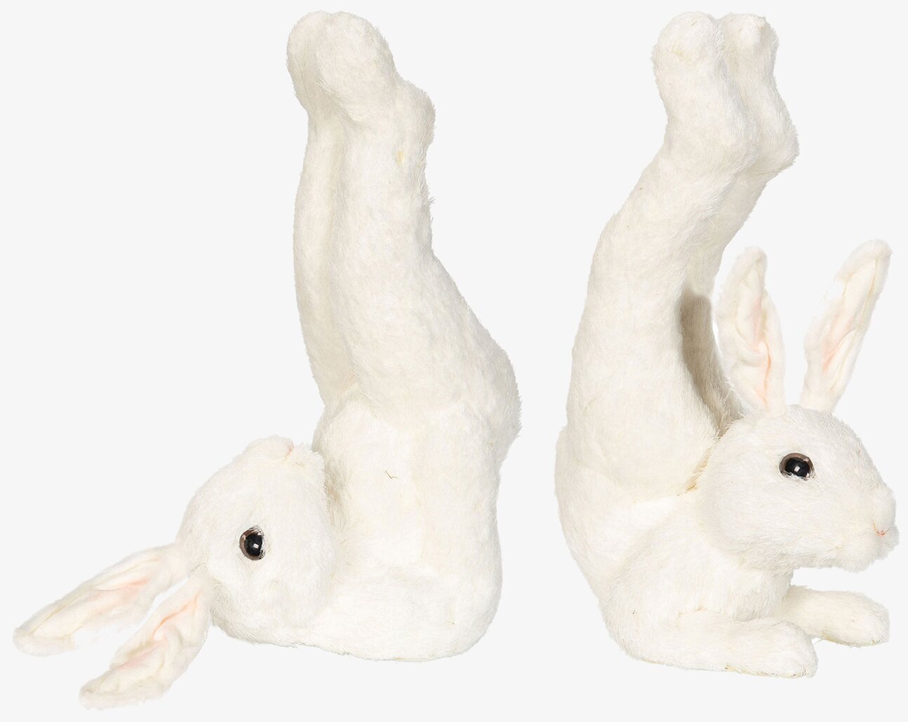 Hare Workout Set/2 från A Lot Decoration, två kaniner