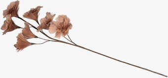 Foto av konstnärlig kvist med fjäderblommor