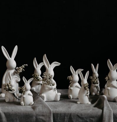 Bild av vita haredekorationer i harmonisk miljö