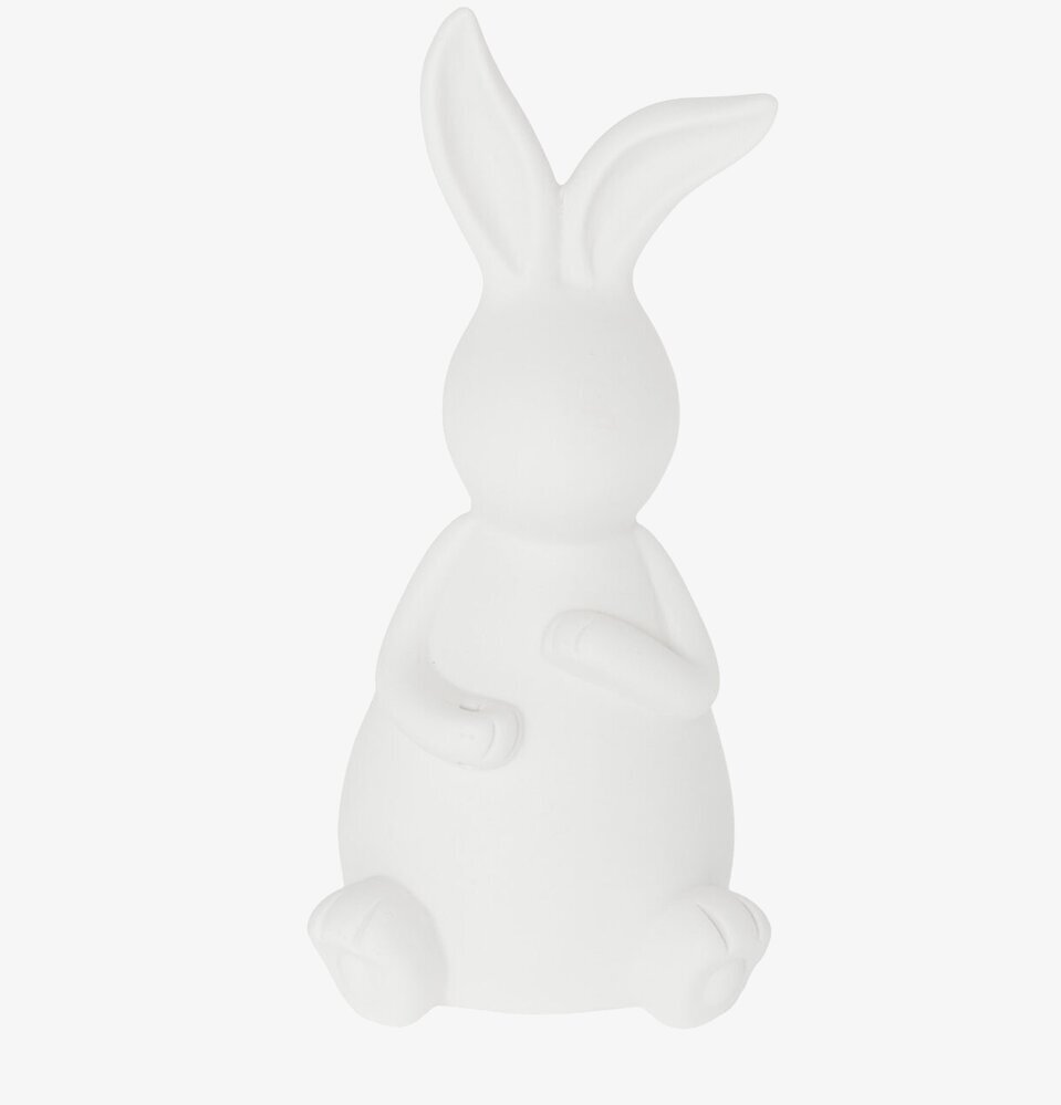 Bild av vit hare dekoration med minimalistisk stil