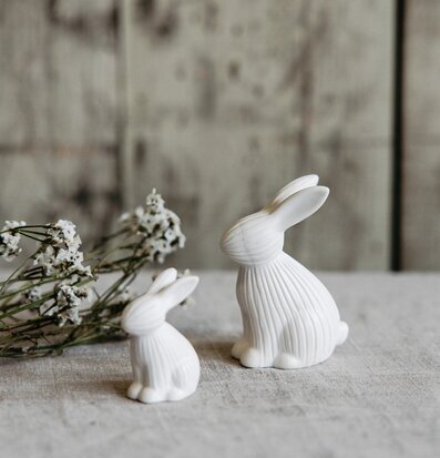 Bild av stilrena vita kaniner och blommor i harmoni