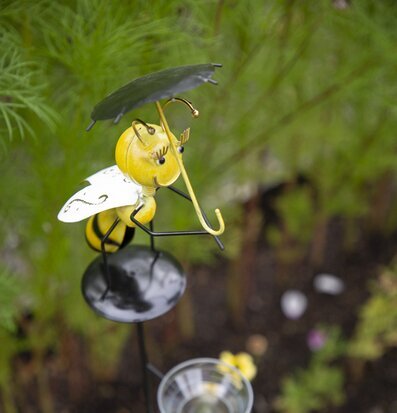 Bild av färgglad regnmätare i grönskande trädgård