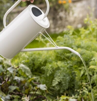 Bild av en hand som vattnar växter i trädgården