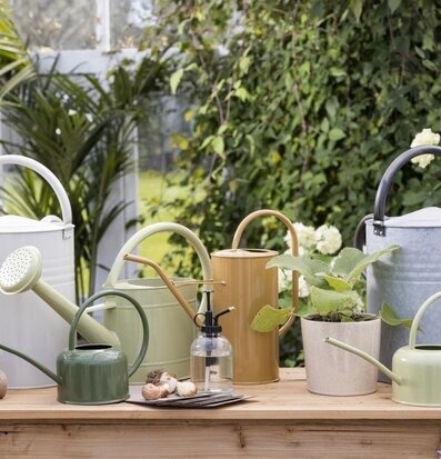 Foto av vattenkannor i naturnära och elegant miljö