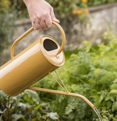 Foto av stilren vattenkanna i bruk i grön trädgård