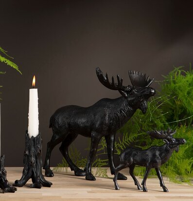 Bild av stilfull inredning med naturinspirerade detaljer