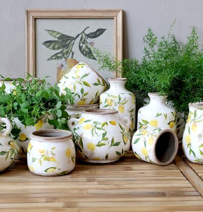 Foto av dekorativa krukor med citronmotiv och växter