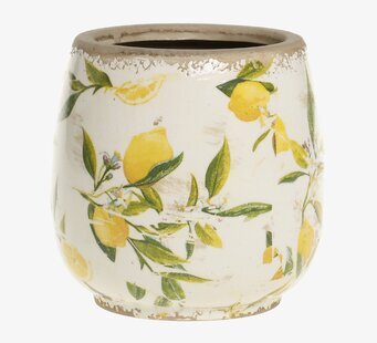 Bild av dekorativ kruka med citroner och gröna blad