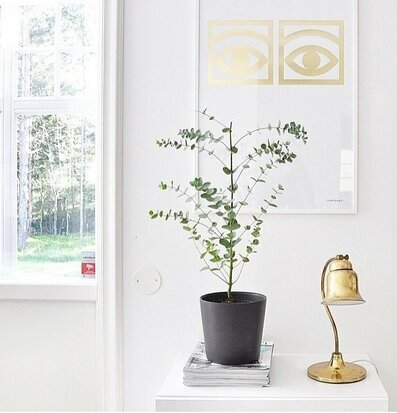 Bild av smakfullt inrett rum med modern och tidlös stil