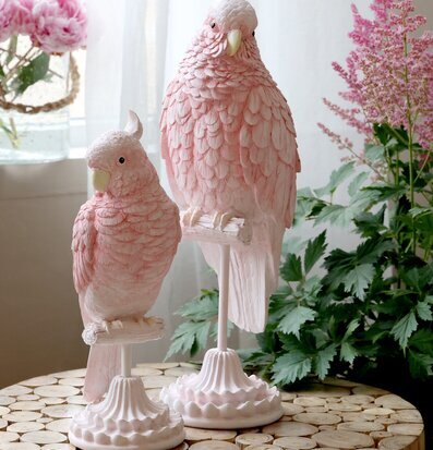 Bild av eleganta papegojor i harmonisk inredning