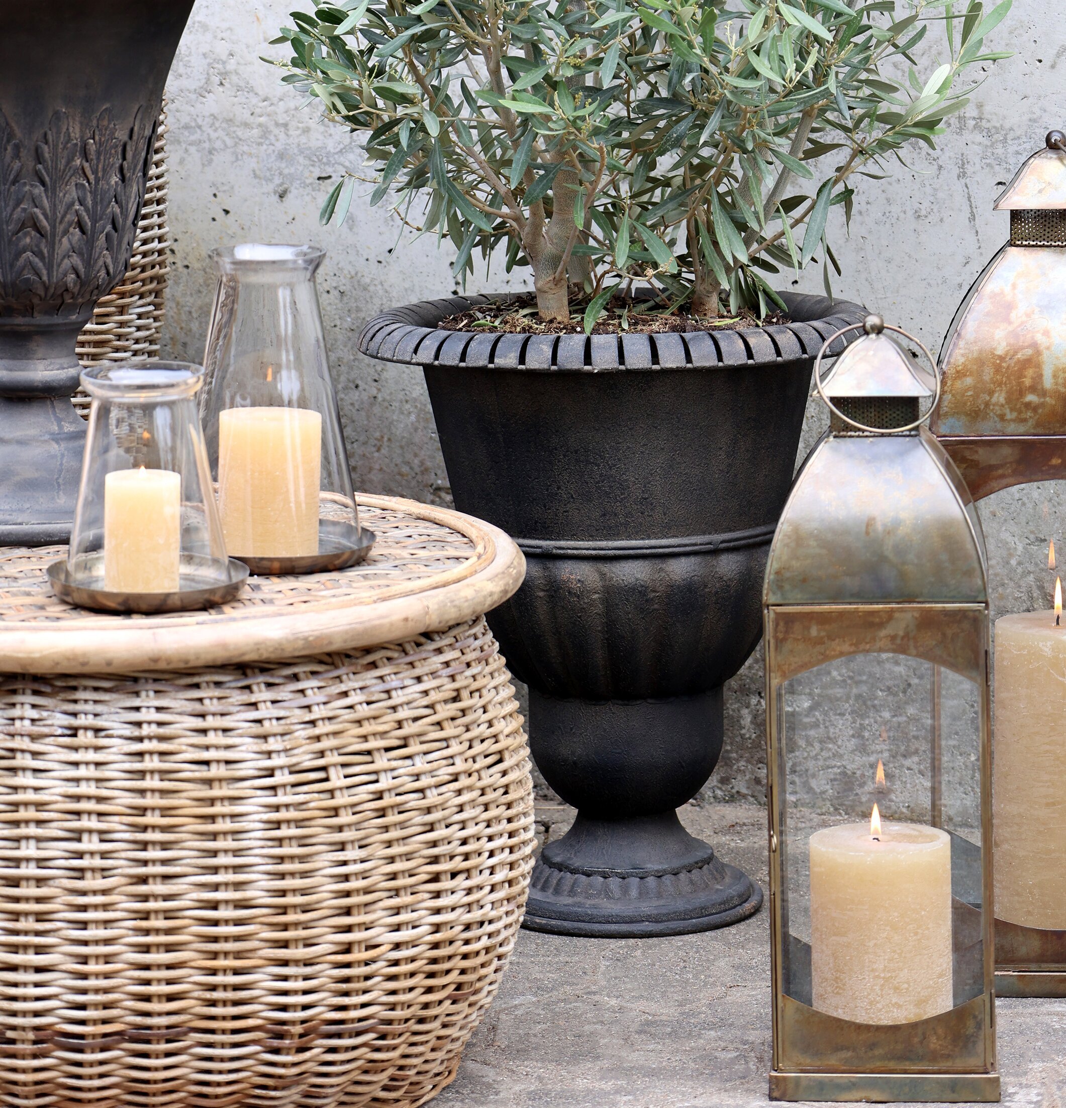 Bild av elegant trädgårdsscen med antik grå kruka