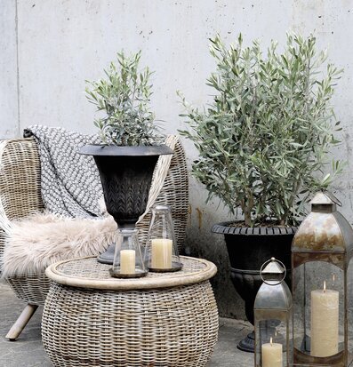 Bild av harmoniskt stillben med kruka och rottingfåtölj