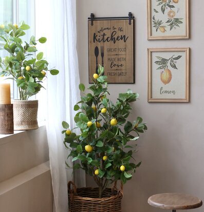 Bild av harmoniskt kök med citronträd och dekorationer