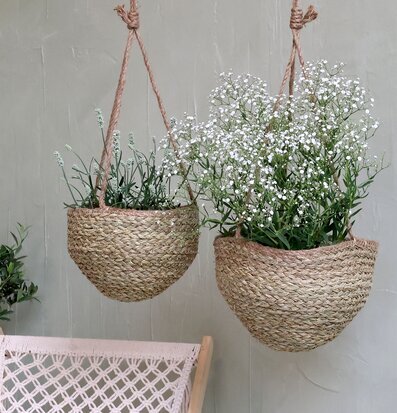 Bild av hängande korgar med växter i naturlig miljö