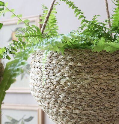 Bild av hängande korg med växter i naturlig stil