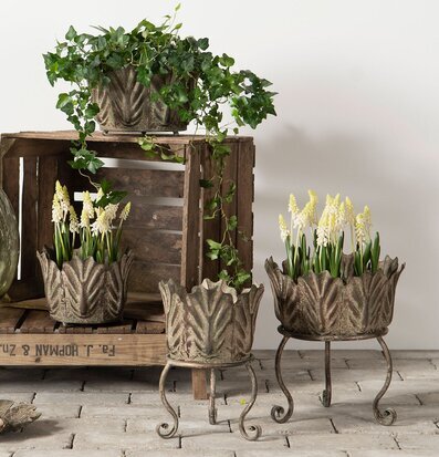 Bild av elegant och stilfullt arrangemang för hemmet