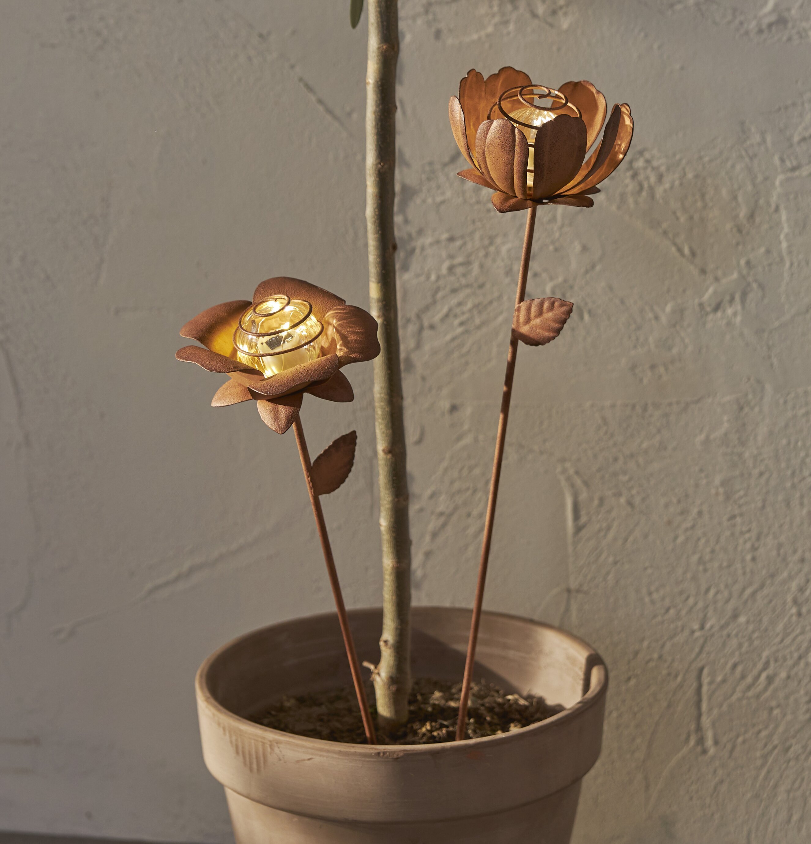 Solcellsdekoration Oxida 2-pack Blommor från Star Trading