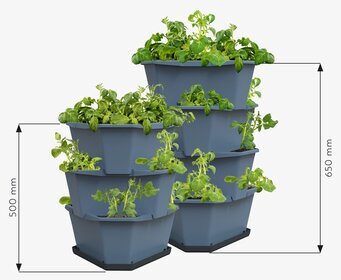 Bild av smart vertikalt odlingssystem för potatis