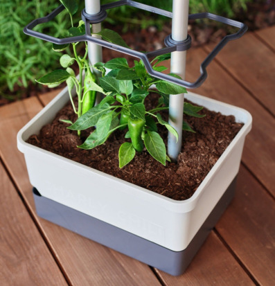 Bild av praktisk och stilren chilikruka med planta