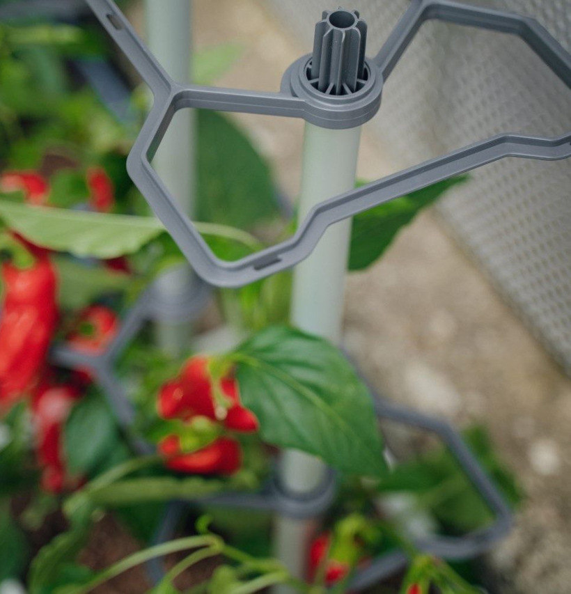 Charly Chili - Chilikruka Med Vattentank från Gardenlife