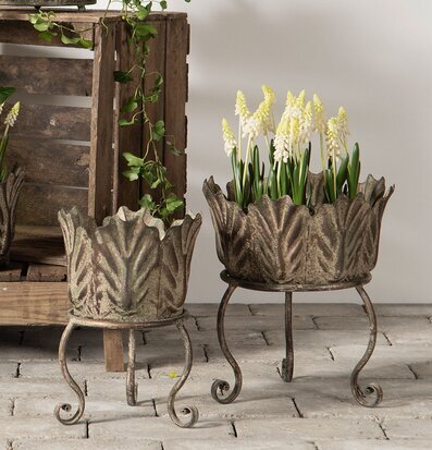 Foto av charmiga planteringskrukor med hyacinter