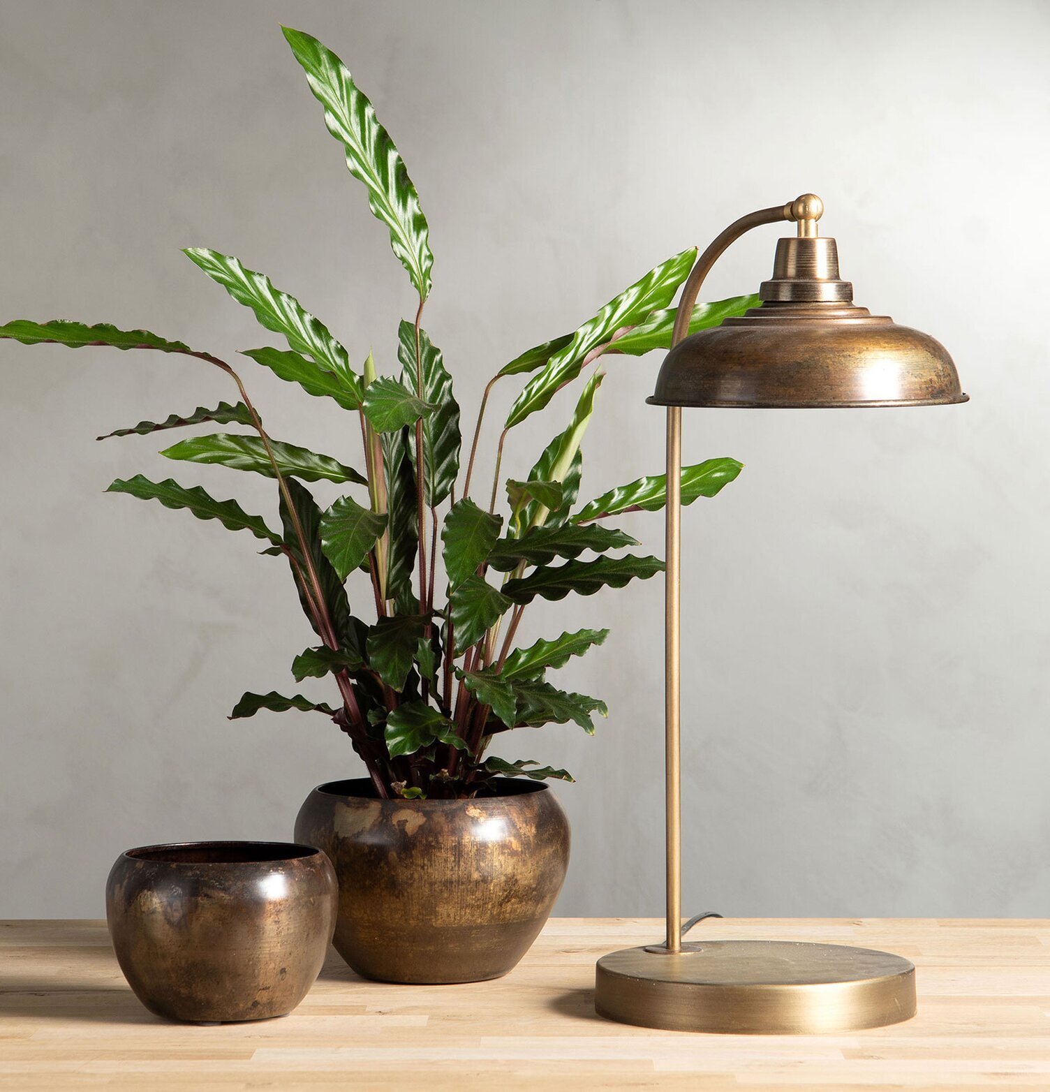 Bordslampa Noa Antikbrun från A Lot Decoration på träyta