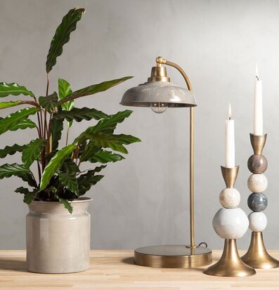 Bild av harmonisk inredning med lampa och växt