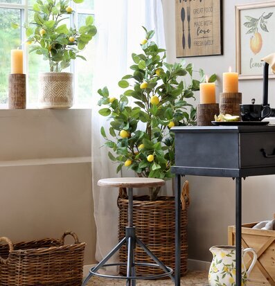 Bild av harmonisk interiör med citronträd och ljusstake