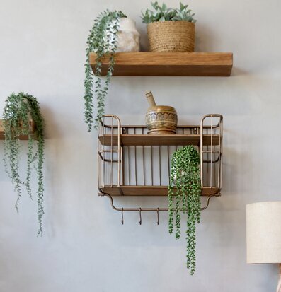 Bild av stilfull heminredning med vägghylla och växter