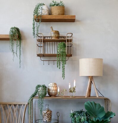 Bild av harmonisk inredning med rustik vägghylla