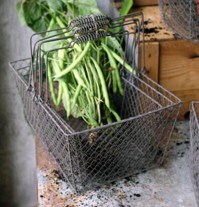 Foto av nätkorgar med gröna bönor och växtlighet