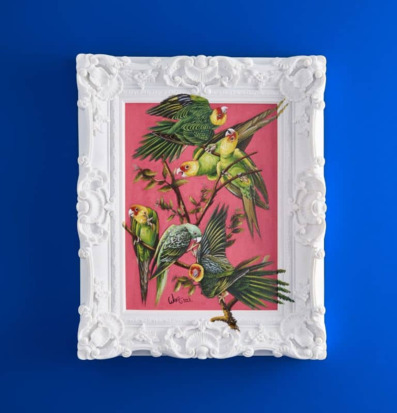 Bild av färgstark tavla med papegojor och elegant ram
