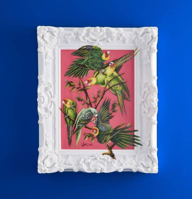 Tavla Coco från Werner Voss med papegojor på rosa bakgrund