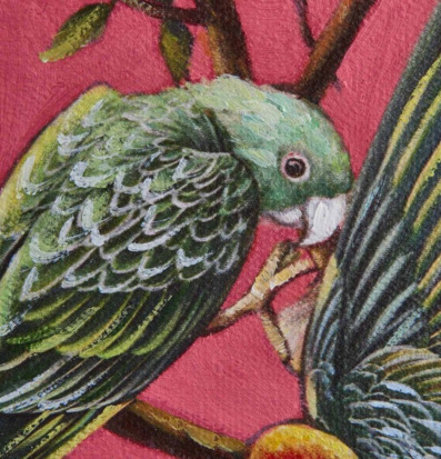 Bild av färgglad papegoja i detaljrik oljemålning