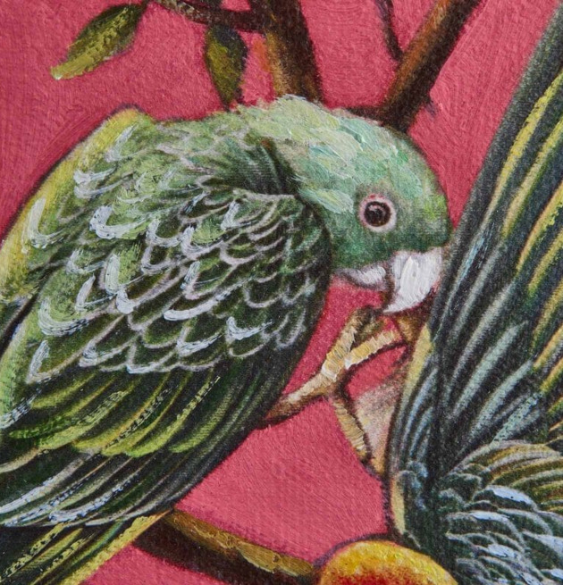 Tavla Coco från Werner Voss föreställer en grön papegoja