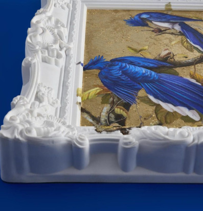 Bild av levande naturmotiv med elegant blå fågel