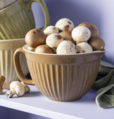 Foto av vispskål med champinjoner i harmonisk ton