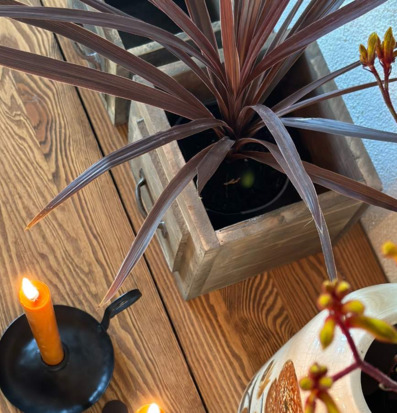 Bild av charmig inredning med trälåda och växt