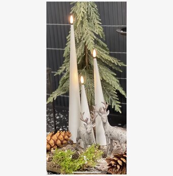 Bild av stilren inredning med naturinspirerade detaljer